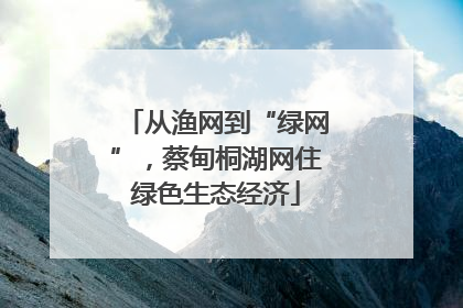 从渔网到“绿网”，蔡甸桐湖网住绿色生态经济