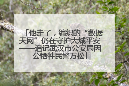 他走了，编织的“数据天网”仍在守护大城平安——追记武汉市公安局因公牺牲民警万松