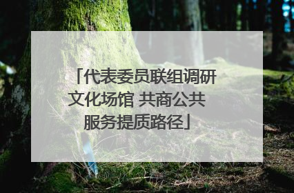 代表委员联组调研文化场馆 共商公共服务提质路径