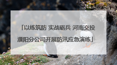 以练筑防 实战砺兵 河南交投濮阳分公司开展防汛应急演练