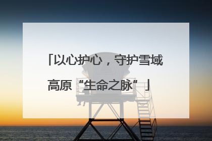 以心护心，守护雪域高原“生命之脉”