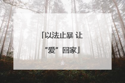 以法止暴 让“爱”回家
