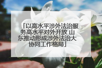 以高水平涉外法治服务高水平对外开放 山东推动形成涉外法治大协同工作格局