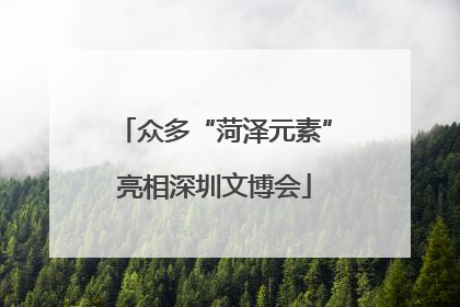 众多“菏泽元素”亮相深圳文博会