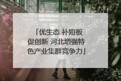 优生态 补短板 促创新 河北增强特色产业集群竞争力