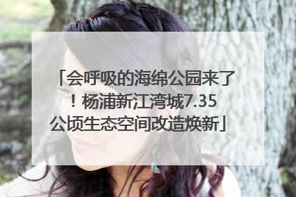 会呼吸的海绵公园来了！杨浦新江湾城7.35公顷生态空间改造焕新