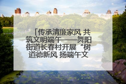 传承清廉家风 共筑文明端午——舞阳街道长春村开展“树道德新风 扬端午文化”主题活动
