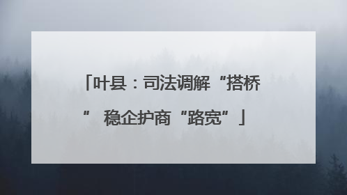 叶县：司法调解“搭桥” 稳企护商“路宽”