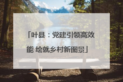 叶县：党建引领高效能 绘就乡村新图景