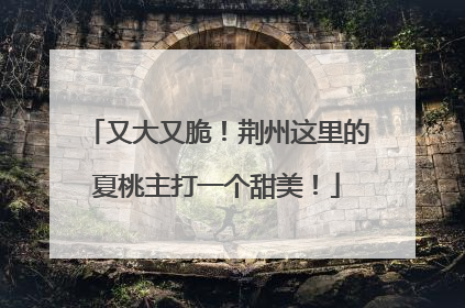又大又脆！荆州这里的夏桃主打一个甜美！