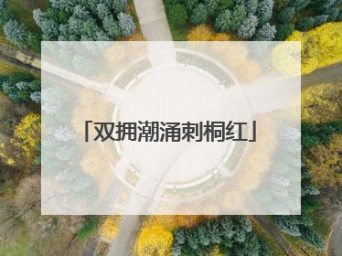双拥潮涌刺桐红