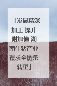 发展精深加工 提升附加值 湖南生猪产业谋求全链条转型