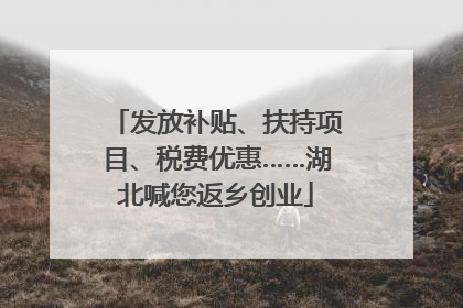 发放补贴、扶持项目、税费优惠……湖北喊您返乡创业