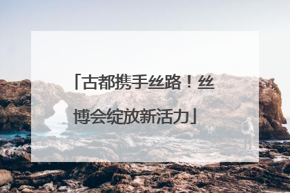 古都携手丝路！丝博会绽放新活力