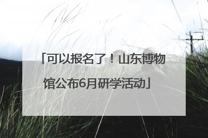 可以报名了！山东博物馆公布6月研学活动