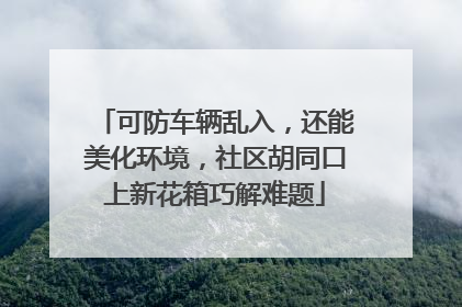 可防车辆乱入，还能美化环境，社区胡同口上新花箱巧解难题