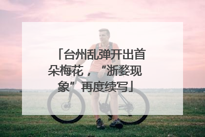 台州乱弹开出首朵梅花，“浙婺现象”再度续写