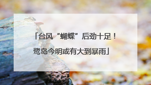 台风“蝴蝶”后劲十足！鹭岛今明或有大到暴雨