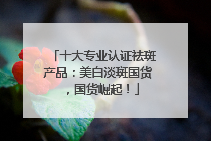 十大专业认证祛斑产品：美白淡斑国货，国货崛起！