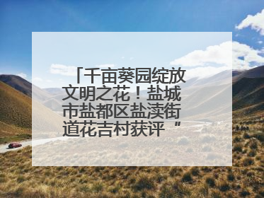 千亩葵园绽放文明之花！盐城市盐都区盐渎街道花吉村获评“全国文明村”