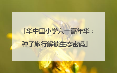 华中里小学六一嘉年华：种子旅行解锁生态密码