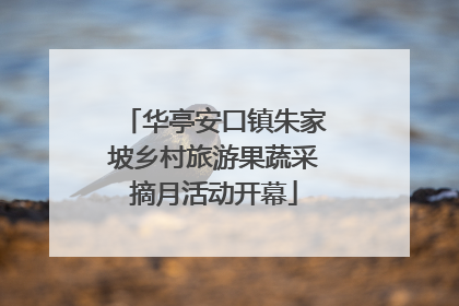 华亭安口镇朱家坡乡村旅游果蔬采摘月活动开幕