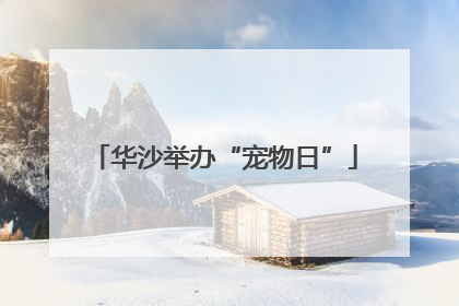 华沙举办“宠物日”