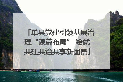 单县党建引领基层治理“谋篇布局” 绘就共建共治共享新图景