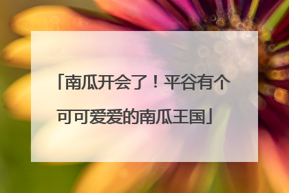 南瓜开会了！平谷有个可可爱爱的南瓜王国