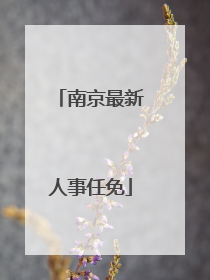 南京最新人事任免