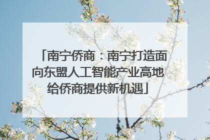 南宁侨商：南宁打造面向东盟人工智能产业高地给侨商提供新机遇
