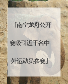 南宁龙舟公开赛吸引近千名中外运动员参赛