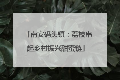 南安码头镇：荔枝串起乡村振兴甜蜜链