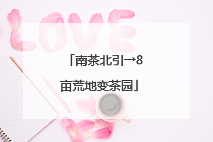 南茶北引→8亩荒地变茶园