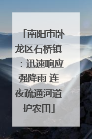 南阳市卧龙区石桥镇：迅速响应强降雨 连夜疏通河道护农田