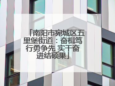 南阳市宛城区五里堡街道：奋楫笃行勇争先 实干奋进结硕果