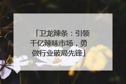 卫龙辣条：引领千亿辣味市场，勇做行业破局先锋