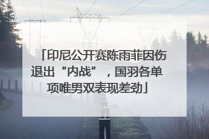 印尼公开赛陈雨菲因伤退出“内战”，国羽各单项唯男双表现差劲