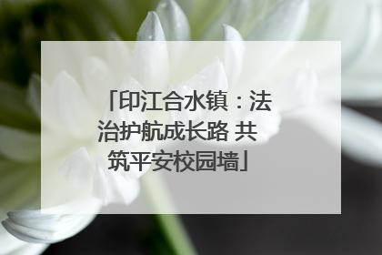 印江合水镇：法治护航成长路 共筑平安校园墙