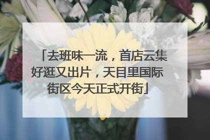 去班味一流，首店云集好逛又出片，天目里国际街区今天正式开街