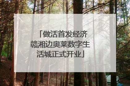 做活首发经济 赣湘边奥莱数字生活城正式开业