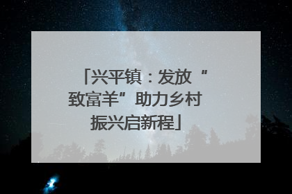 兴平镇：发放“致富羊”助力乡村振兴启新程
