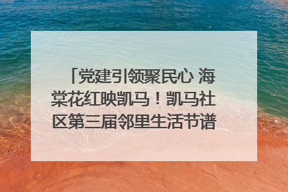 党建引领聚民心 海棠花红映凯马！凯马社区第三届邻里生活节谱写幸福新篇章