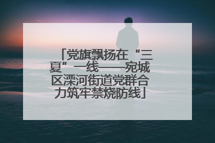 党旗飘扬在“三夏”一线——宛城区溧河街道党群合力筑牢禁烧防线