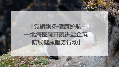党旗飘扬·健康护航——北海医院开展进盐企筑防线健康服务行动