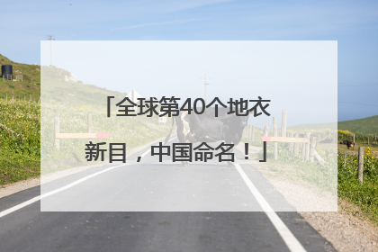 全球第40个地衣新目，中国命名！