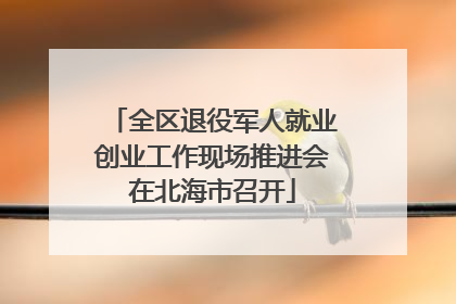 全区退役军人就业创业工作现场推进会在北海市召开