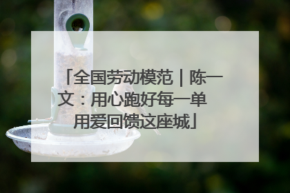 全国劳动模范｜陈一文：用心跑好每一单 用爱回馈这座城