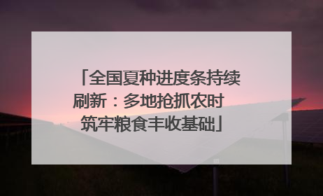 全国夏种进度条持续刷新：多地抢抓农时 筑牢粮食丰收基础