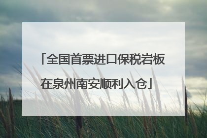 全国首票进口保税岩板在泉州南安顺利入仓